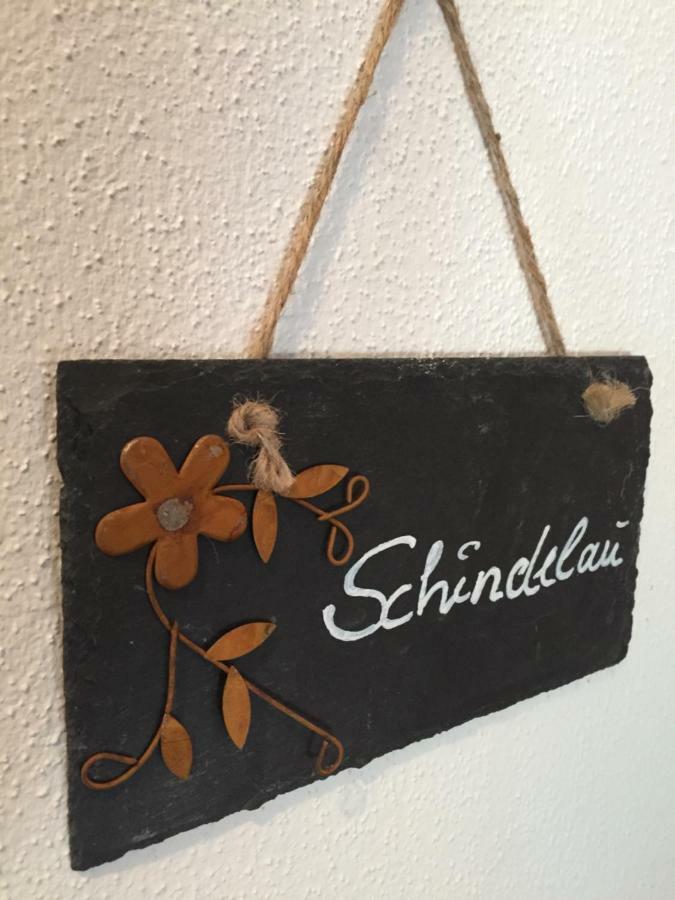 Das Alte Forsthaus Spiegelhuette Lindberg Zewnętrze zdjęcie